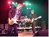 Dr. Feelgood